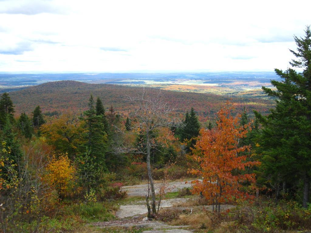 Le Gite Ambrelane Thetford Mines Bagian luar foto