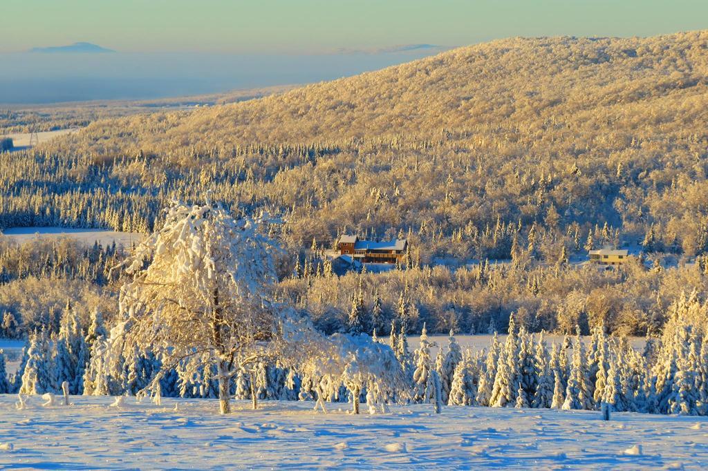 Le Gite Ambrelane Thetford Mines Bagian luar foto