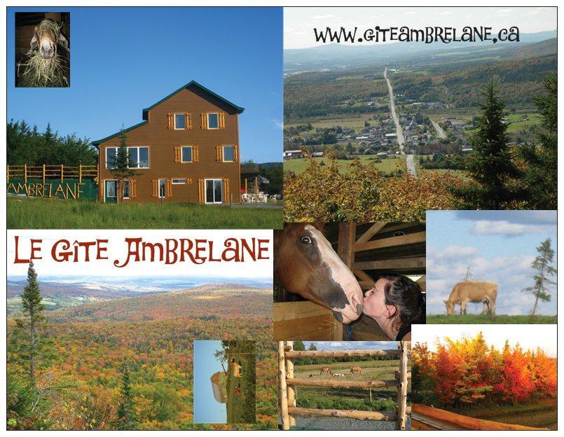 Le Gite Ambrelane Thetford Mines Bagian luar foto