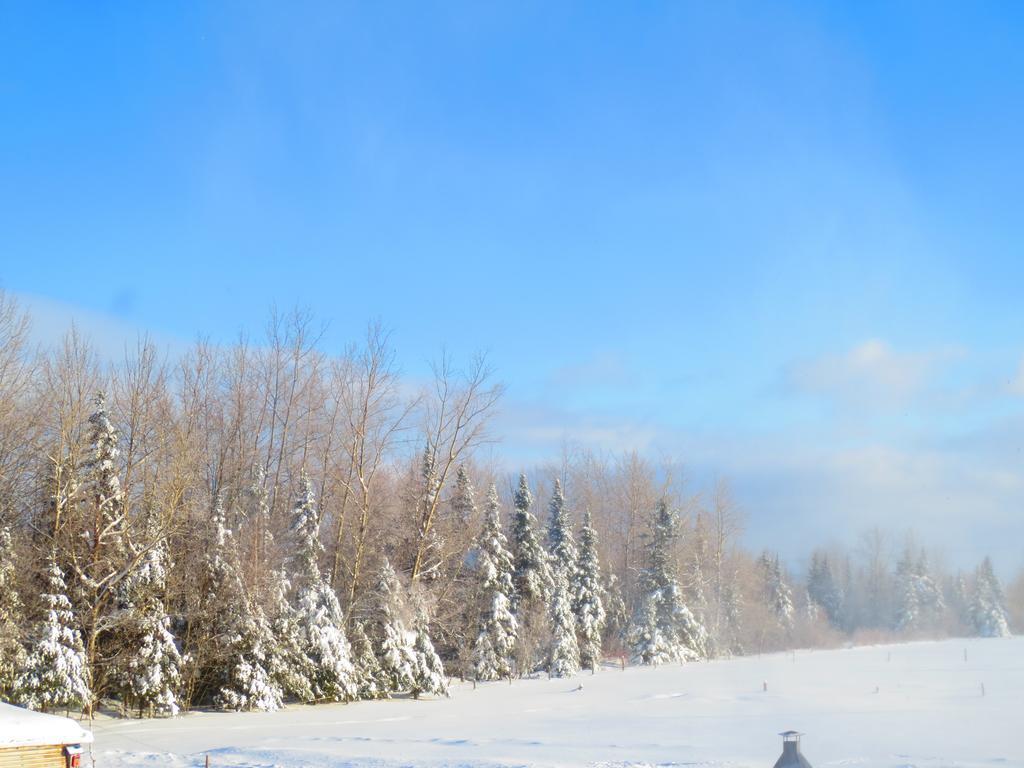 Le Gite Ambrelane Thetford Mines Bagian luar foto