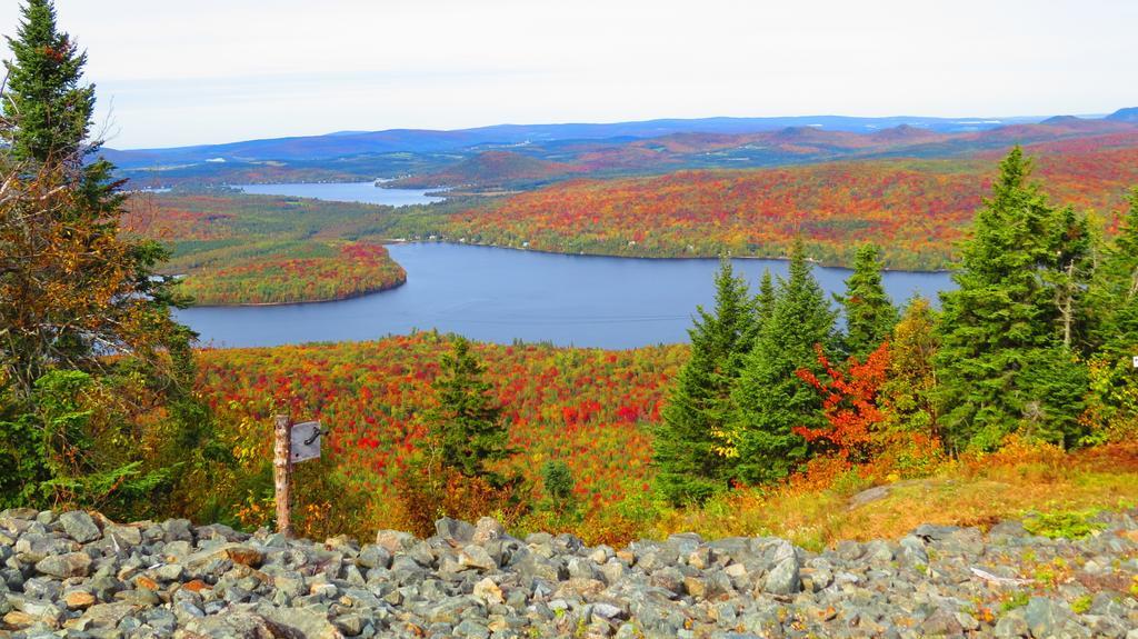 Le Gite Ambrelane Thetford Mines Bagian luar foto