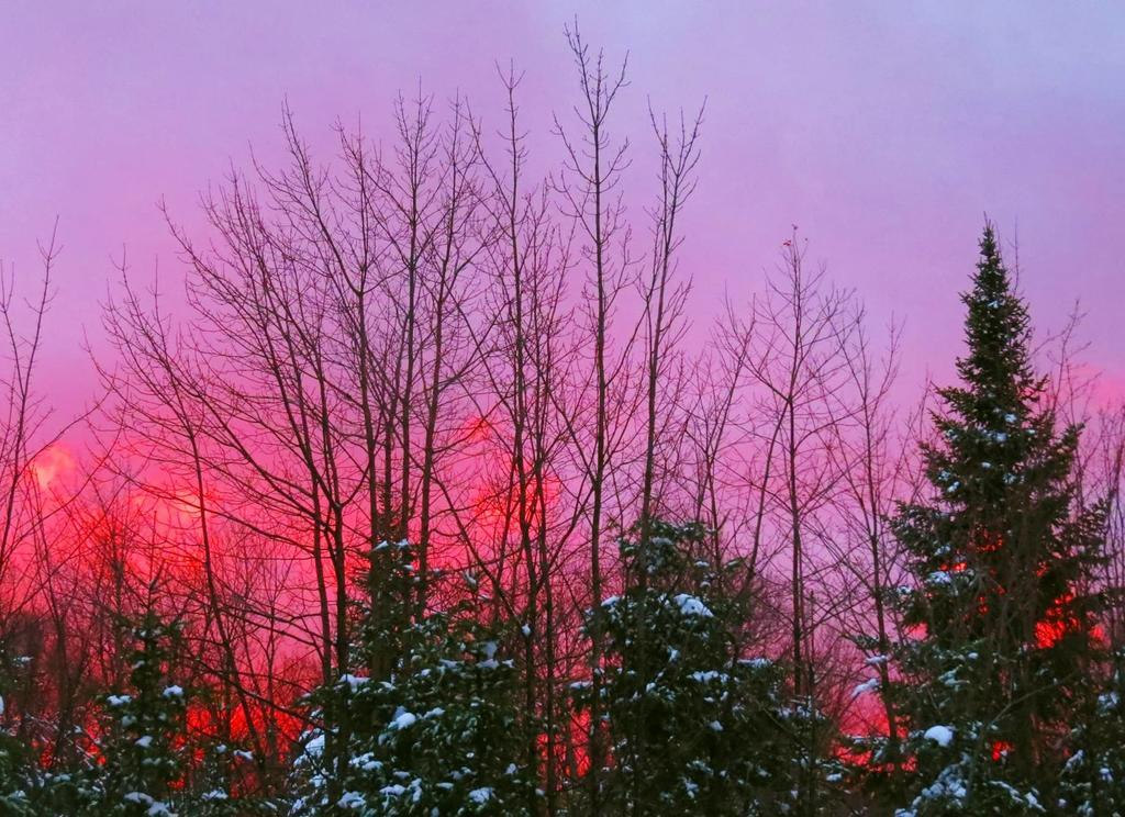 Le Gite Ambrelane Thetford Mines Bagian luar foto
