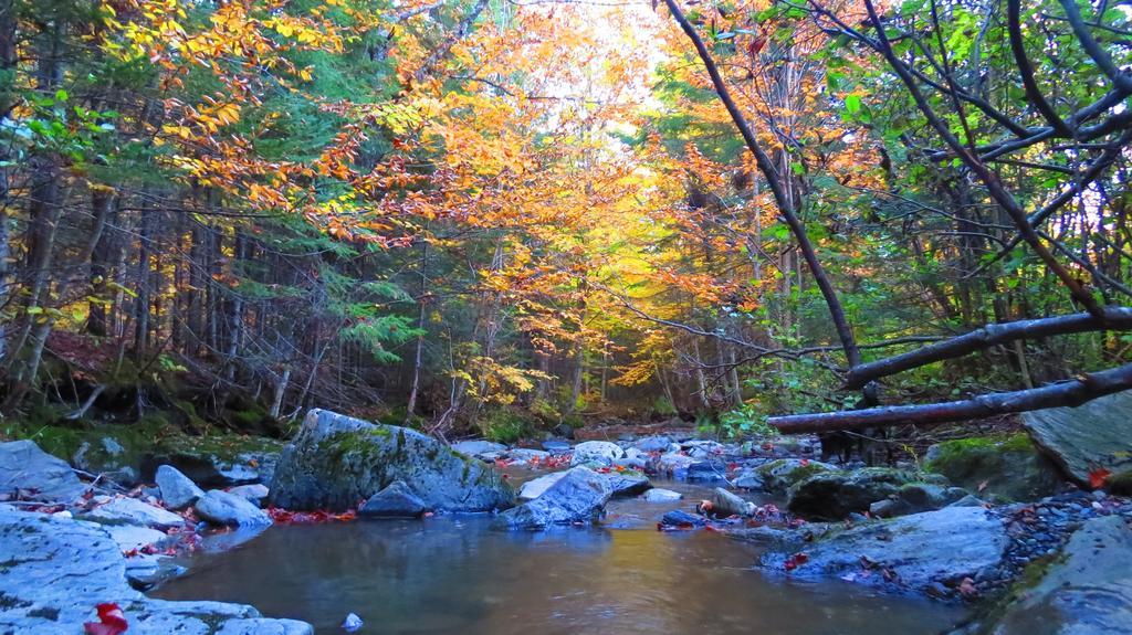 Le Gite Ambrelane Thetford Mines Bagian luar foto