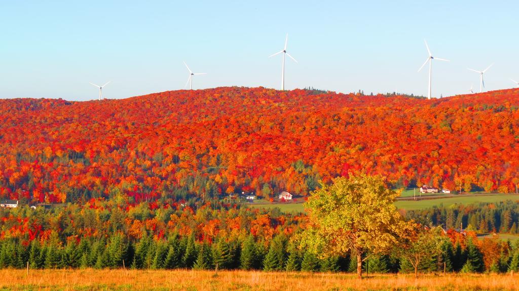 Le Gite Ambrelane Thetford Mines Bagian luar foto