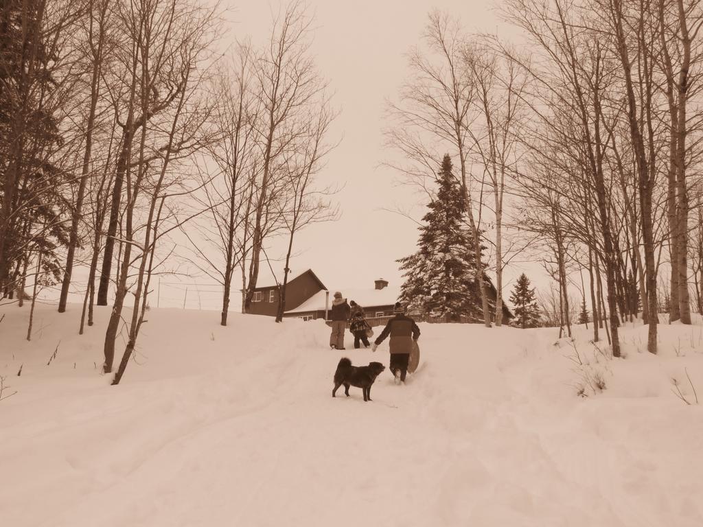 Le Gite Ambrelane Thetford Mines Bagian luar foto