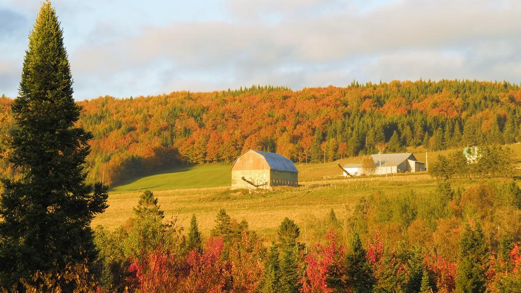 Le Gite Ambrelane Thetford Mines Bagian luar foto